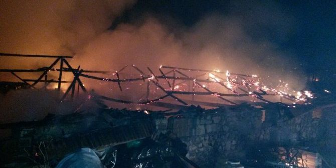 Ahır Yangınında 28 Büyükbaş Hayvan Telef Oldu