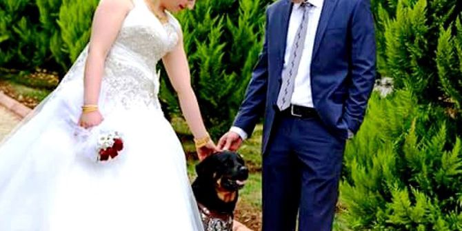 Düğününde Bile Yanından Ayırmadığı Köpeği Kayboldu