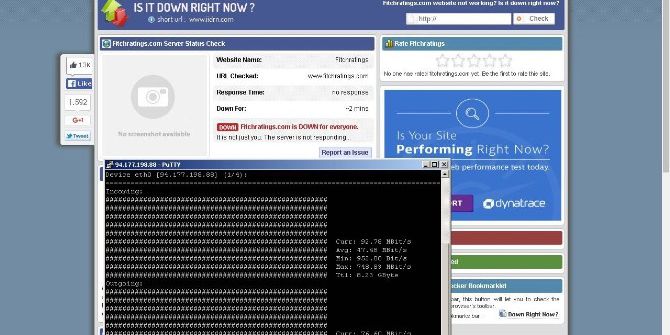 Türk Hackerlar Kredi Derecelendirme Kuruluşu Fitch’i Hedef Aldı