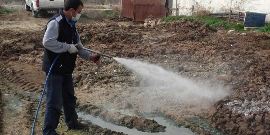 Selendi’de İlaçlama Devam Ediyor