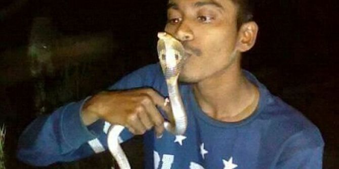 Kurtardığı Kobrayı Öperken Öldü