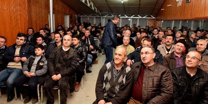 M. Kemalpaşa’da Güvercin Festivali Düzenlenecek