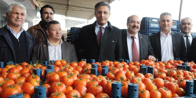 Kaymakam Pamuk, Domates Piyasasını Kurdu