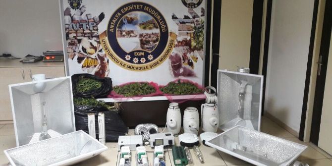 Apartman Dairesini Uyuşturucu Serasına Çevirdiler