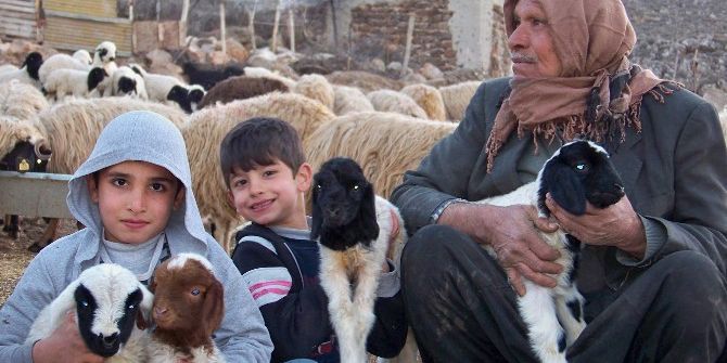 Koyun Sürüsü Kuzularla Renklendi