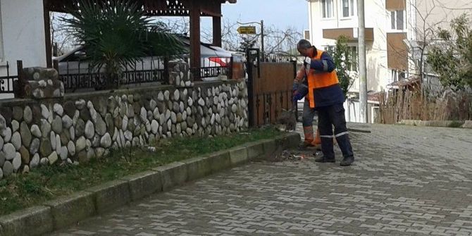 Akçakoca’da Temizlik Çalışmaları Gece Gündüz Sürüyor