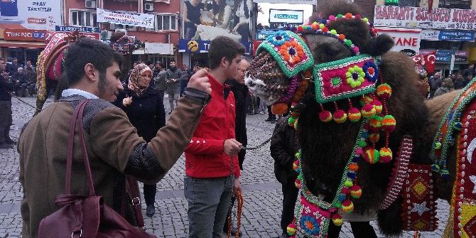 Develer Görücüye Çıktı