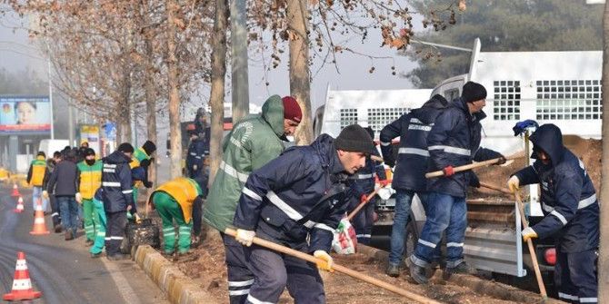 Yeşil Alanlarda 129 Bin Lale Ve 80 Bin Menekşe Açacak