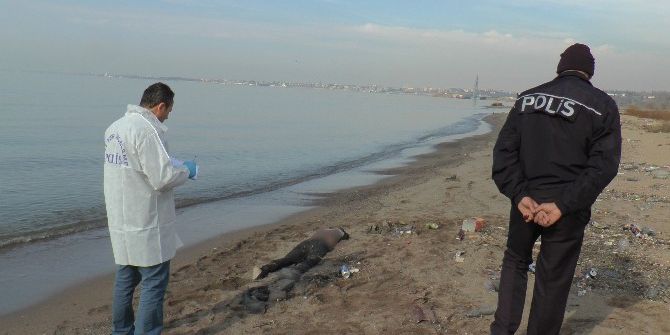 Pakistan Uyruklu Vatandaşın Cesedi Sahile Vurdu