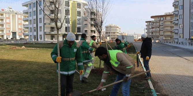 Haliliye’de Yeşillendirme Çalışmaları Devam Ediyor