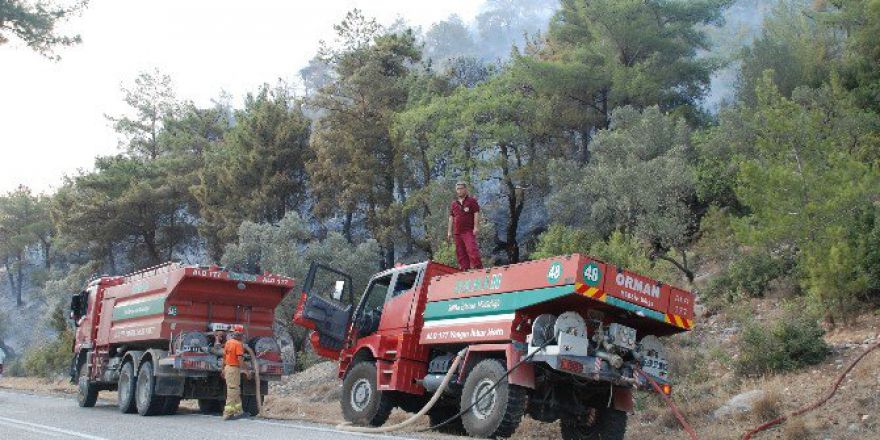 Silifke’de Orman Yangını