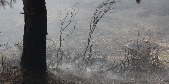 Adana’da Orman Yangını
