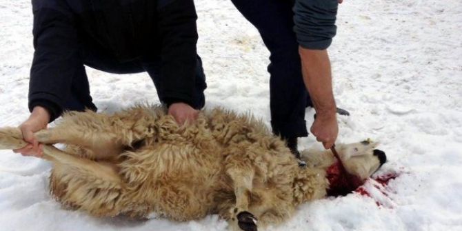 Kazası Dosyası Uzlaşmayla Son Buldu