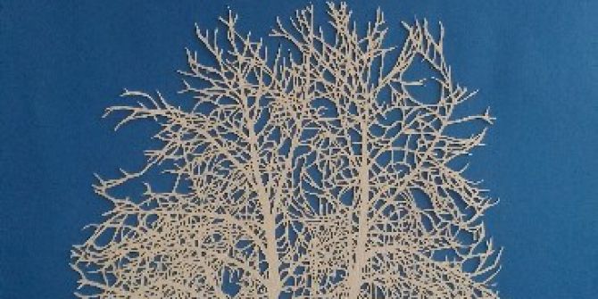 Sanko Sanat Galerisinde Kaatı’ı Sanatı Sergisi