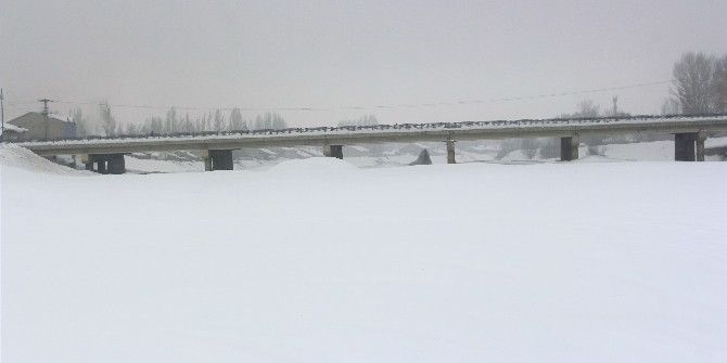 Donan Murat Nehri Köpeklerin Oyun Alanı Oldu