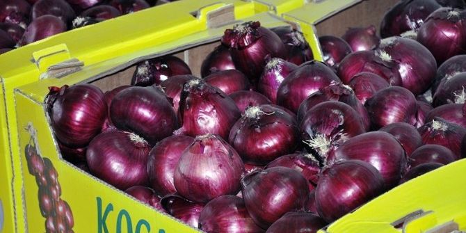 Mor Soğan Arap Ülkelerine İhraç Ediliyor