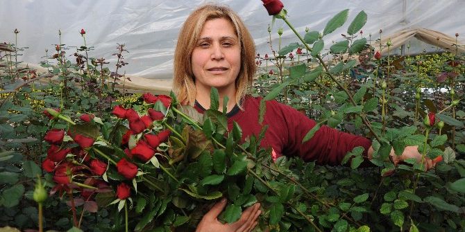 Gül Yetiştiricileri Sevgililer Günü’nden Umutlu