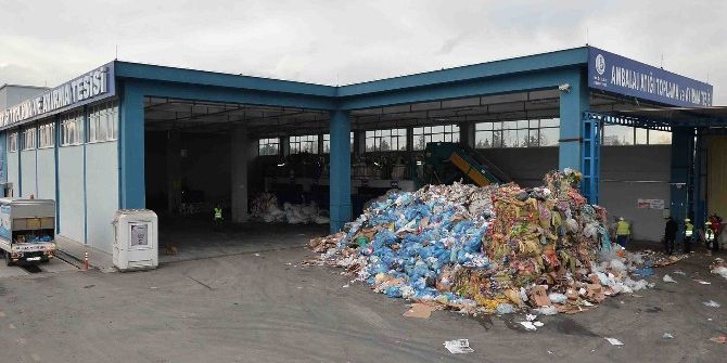 Bağcılar’da 1 Yılda 174 Bin 420 Ağaç Kesilmekten Kurtarıldı