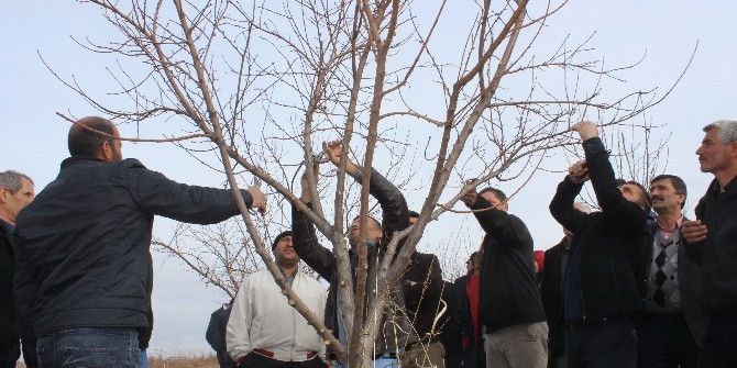 Adıyaman’da Çiftçiler Eğitiliyor