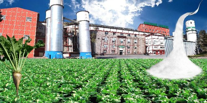 Kayseri Şeker Türkiye Devleri Arasında