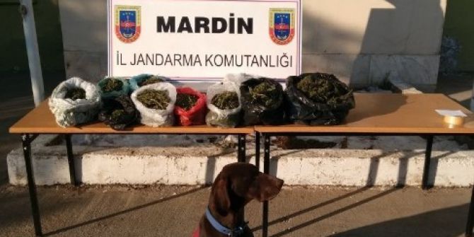 Mardin’deki Uyuşturucu Operasyonunda Bir Kişi Tutuklandı