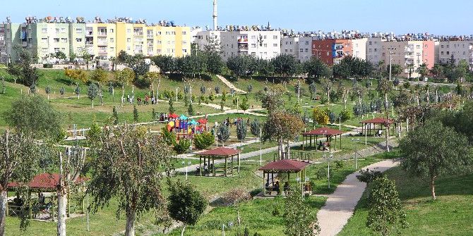Toroslar’da Yeşil Alanlar Her Geçen Yıl Artıyor
