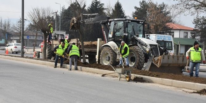 Refüj Ve Kavşaklar Ağaçlandırılıyor