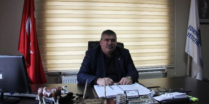 Süt Ve Damızlık Üreticileri İthalata Tepkili