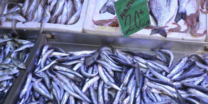 Hamsi Yüzde 100 Zamlandı, Kilosu 20 Liraya Çıktı