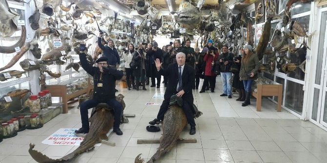 Fotoğrafçılar Derinlerdeki Deniz Canlılarını Karada Görüntüledi