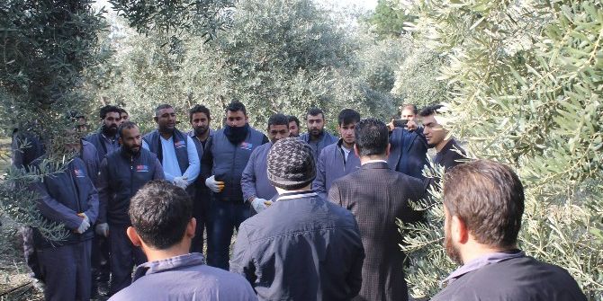 Romanlara Meyve Yetiştiriciliği Kursu