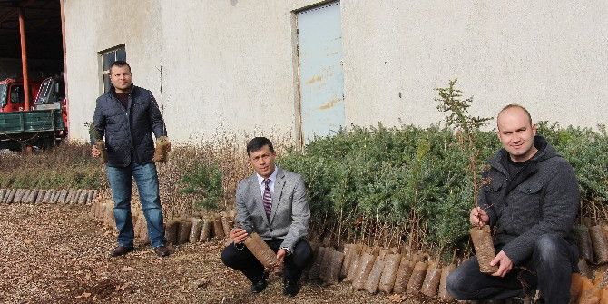 Bucak’ta Ücretsiz Fidan Dağıtımı Sürüyor