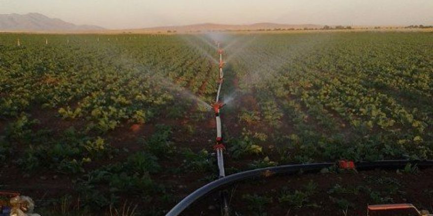 Aydınlı Yatırımcıların 5 Sulama Projesine 106 Bin Lira Destek