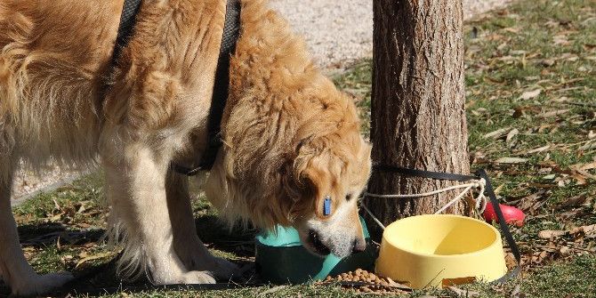 Dostluklar Parayla Satın Alınmaz