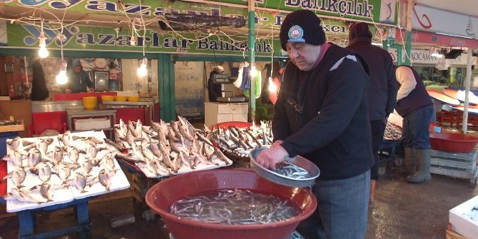 Hamsinin Kilosu Yüzde 125 Zamlandı