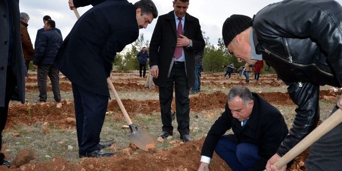 Osmanbey Yerleşkesinde Bin Fidan Toprakla Buluştu