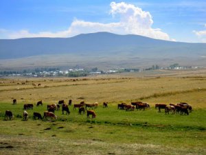 Kars Ayakgedikler Köyü