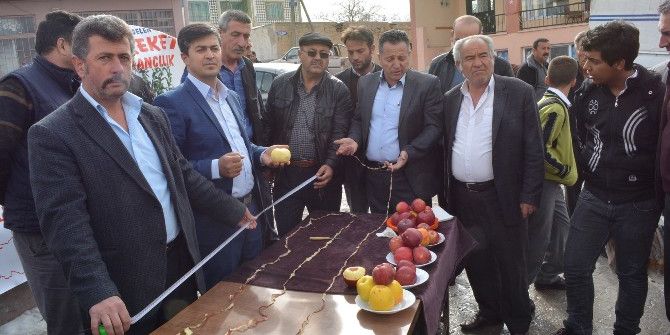 5 Metre Elma Kabuğu Soyan Adam Guinness’e Aday