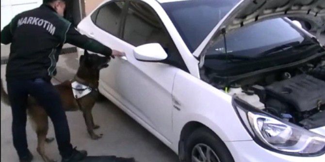 Narkotik Köpeği Alfa Uyuşturucuyu İşte Böyle Buldu