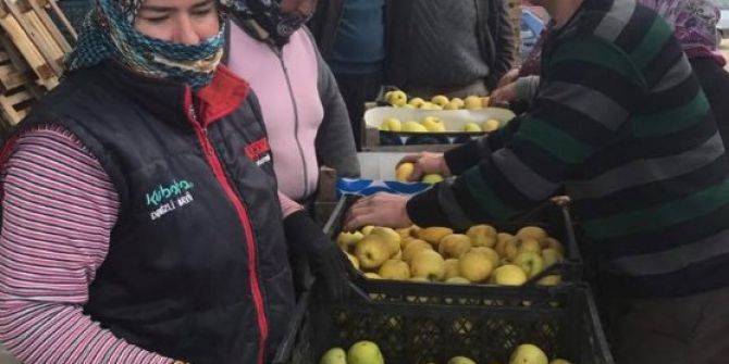 Denizli’den Irak’a 40 Ton Elma İhraç Edildi