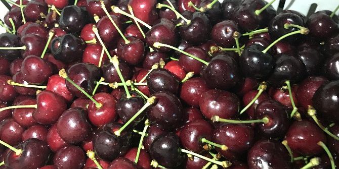 Türk Meyveleri Uçakla Seyahat Edecek Dünya Sofralarını Süsleyecek