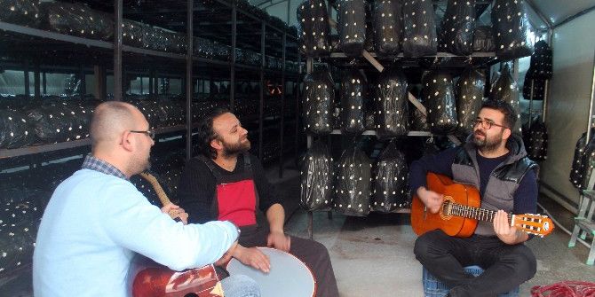 Müzikli Terapiyle İstiridye Mantarı Yetiştiriyor