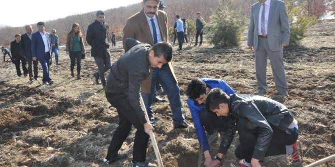 Gölbaşı Metem Hatıra Ormanına 2 Bin Fidan Dikildi
