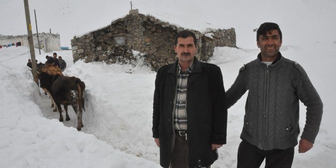 Ağrı’da 4.5 Büyüklüğündeki Deprem Hasara Yol Açtı