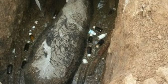 Çukura Düşen İneği İtfaiye Kurtardı