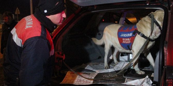 Bolu’da Bomba Arama Köpeği İle Huzur Operasyonu