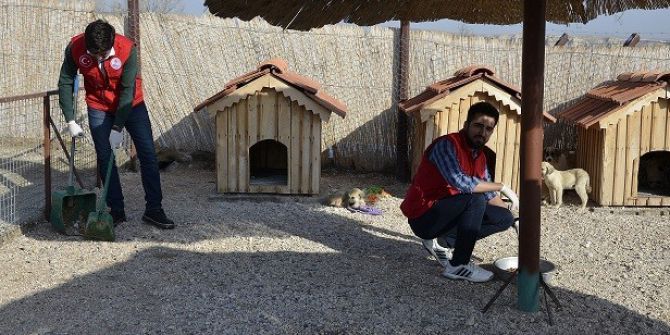 Gençlik Merkezleri Hayvan Barınağını Ziyaret Etti