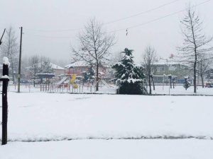 Düzce Taşköprü Köyü