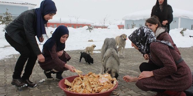 Öğrencilerden Örnek Davranış