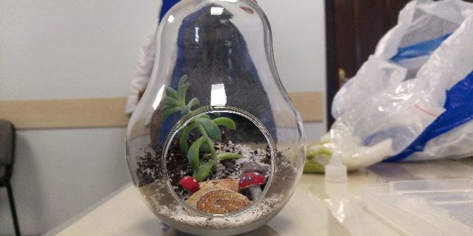 Zeytinburnu Tıbbi Bitkiler Bahçesi’nde Teraryum Eğitimi